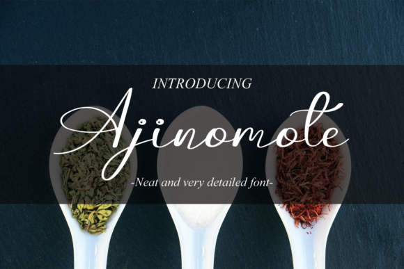 Ajinomote: A Stylish Font for Business Branding