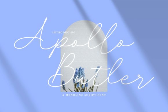 Apollo Butler: Elegant Script for Branding
