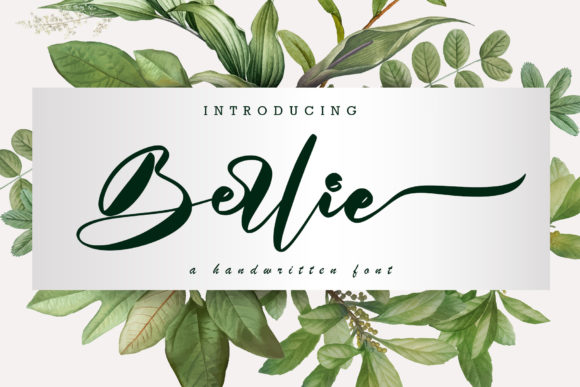 Berlie: A Refined Script Font