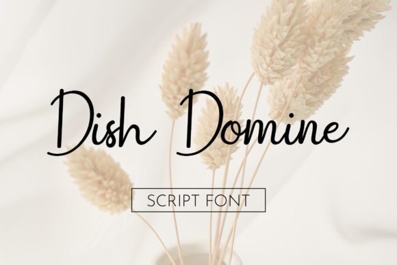 Dish Domine: A Bold Script for Web Design