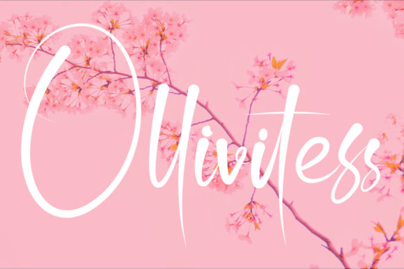 Ollivitess Font: Elegant Script for Creative Makers