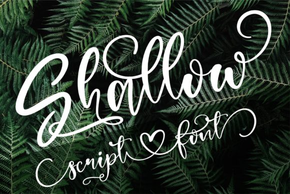 Shallow: A Luxurious Handwritten Font